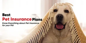 Best Pet Insurance